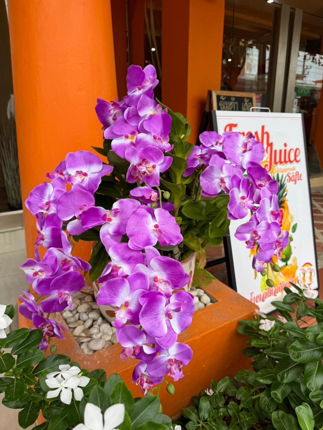 Venice Hotel Хуа Хин Экстерьер фото